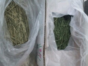 OIMG甘肅岷縣23特級(jí)烘干提摩西5A草段新草頭茬新鮮兔糧兔草龍貓荷蘭豬 精品烘干切段(袋裝三斤斤)凈重 曬單實(shí)拍圖