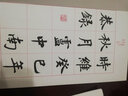 當代實(shí)力派書(shū)家書(shū)心經(jīng)：盧中南書(shū)心經(jīng)（宣紙豪華版） 曬單實(shí)拍圖