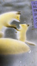 【自選】愛(ài)心樹(shù)系列等兒童繪本0-3-6-9歲嬰幼兒園寶寶啟蒙認知漫畫(huà)圖畫(huà)書(shū)籍： 小狐貍買(mǎi)手套 曬單實(shí)拍圖
