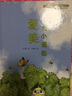 愛(ài)美的小葡萄/全球重要農業(yè)文化遺產(chǎn)故事繪本 曬單實(shí)拍圖