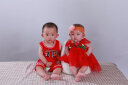 齐齐熊（ciciibear）宝宝背心套装夏季小童儿童纯棉夏装男童运动套装婴儿篮球服 红色 80cm 实拍图