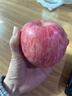 正宗陜西洛川紅富士蘋(píng)果高端當季新鮮脆甜冰糖心蘋(píng)果孕婦水果 凈重4.5斤【85mm+】 曬單實(shí)拍圖