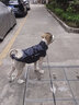 PEITE PET狗狗衣服冬天加厚保暖棉衣中大型犬金毛杜賓邊牧柯基狗衣服可牽引 隕石灰（配牽引繩）【加絨加厚】 6XL （適合70-82斤） 曬單實(shí)拍圖