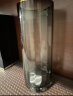 盛世泰堡 富贵竹百合玫瑰玻璃花瓶北欧轻奢描金透明水培插花器客厅酒店玄关餐厅装饰摆件25cm 实拍图
