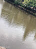 達(dá)億瓦（DAIWA） 子龍ZILLION TW HLC水滴輪路亞輪遠(yuǎn)投魚(yú)線輪進(jìn)口漁輪 1514SH L(速比7.3)左手 深線杯 曬單實(shí)拍圖
