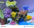 森森（SUNSUN）魚缸底砂玻璃砂魚缸裝飾造景彩色水族箱造景石 白色石英砂1500g 曬單實拍圖