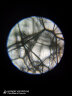 萨伽（SAGA） 学生生物显微镜六一儿童礼物专业高清科学实验教学示范畜牧 3：标配+50片玻璃标本+130w电目 实拍图