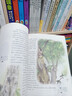 正版 昆蟲(chóng)記原著(zhù)完整版法布爾著(zhù)小學(xué)生三四年級下冊閱讀課外書(shū)名師導讀美繪版人民兒童文學(xué)教育經(jīng)典名著(zhù) 【昆蟲(chóng)記】 曬單實(shí)拍圖