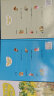 世界经典儿童故事绘本 套装全6册 彩绘版 匹诺曹 海底两万里 睡美人 幼儿园 小班 中班 大班 格林童话 一千零一夜 实拍图