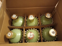 竹葉青酒 露酒 榮耀綠 53度 500mL*6 整箱 山西杏花村汾酒 曬單實(shí)拍圖