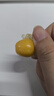 姑娘果東北特產(chǎn)大果水果新鮮黃金莓當(dāng)季現(xiàn)摘燈籠果黃菇娘洋姑涼果 姑娘果【2斤裝】 曬單實(shí)拍圖