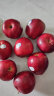 京鲜生美国特级华盛顿红蛇果8粒装 单果重约160g起  生鲜水果 实拍图