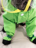 嬉皮狗（hipidog）狗狗雨衣夏季衣服寵物狗夏天泰迪比熊小型犬動(dòng)物造型牽引出行雨衣 青蛙蒂安綠 2XL建議體重16-20斤 曬單實(shí)拍圖