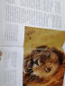 国家地理动物百科全书：非洲大草原的掠食者与猎物 国家地理少儿百科读物 [0-3岁](中国环境标志产品 绿色印刷) 实拍图