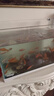 金鑾殿（KING ETING）沃爾沃S60L無(wú)骨雨刮器14-15-16-17-18-19款雨刷器volvo靜音雨刮片 14-19款 沃爾沃S60L 曬單實(shí)拍圖