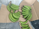 【不打药需催熟】国产高山甜糯香蕉 当季新鲜水果芭蕉整箱青皮果 带箱4.5kg【精品装】 实拍图