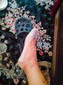 貓人（MiiOW）船襪女防滑不掉跟夏季薄款冰絲腳底配單鞋高跟鞋淺口隱形襪子女士 【超薄款 橙+香檳+粉+膚+灰】 5雙 均碼 冰絲/涼感/隱形【5雙裝】 曬單實(shí)拍圖