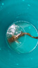 久巖尤尼吉可線(xiàn)組釣魚(yú)線(xiàn)子線(xiàn)強拉力低延展黑坑正品競技魚(yú)線(xiàn) 尤尼吉可線(xiàn)組【5.4米】無(wú)結綁制 1號 曬單實(shí)拍圖