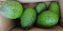 云南新鮮牛油果鱷梨 低脂低卡健康輕食沙拉時(shí)令生鮮水果中秋半價(jià) 中果4粒100g+ 曬單實(shí)拍圖