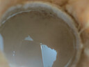 云南沙姜200g 曬單實(shí)拍圖