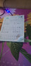 六品堂 語文同步練字帖上冊下冊人教版小學生硬筆書法練字本楷書正楷筆畫筆順兒童描紅寫字 【基礎款】二年級上冊 送鉛筆 握筆器 曬單實拍圖