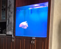 SOBO松寶魚(yú)缸潛水燈水族燈遙控變色LED燈魚(yú)缸燈水族箱潛水照明防水燈 單排T8-120D(97CM)三檔手調(diào) 曬單實(shí)拍圖