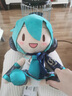 HKFZbilibili嗶哩嗶哩初音未來(lái)fufu公仔周邊抱枕fu雪花櫻花玩偶 初音未來(lái)[經(jīng)典款]50CM 現貨秒發(fā) 曬單實(shí)拍圖