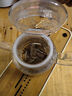 一屋窯一屋窯耐高溫玻璃茶具蒸煮兩用茶具加厚手工玻璃茶壺大號泡茶壺 Y-003 曬單實拍圖