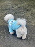 MIKI PAD狗狗羽絨服秋冬季棉衣保暖加厚寵物貓咪衣服比熊泰迪小型犬可牽引 淺藍色機車(chē)棉服（可牽引） S碼（參考體重1-3斤) 曬單實(shí)拍圖