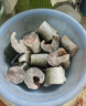 【鮮活鰻魚(yú)】淡水活河鰻 福建三都港長(cháng)魚(yú)類(lèi)整條白鰻 活體海鮮水產(chǎn) 鮮活鰻魚(yú)1000g/條 曬單實(shí)拍圖