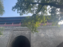 妙普樂(lè )實(shí)木CD架 碟片架黑膠唱片架 黃銅實(shí)木 展示支架LP黑膠柜CD架垂收 沙比利+黃銅-黑膠唱片架 曬單實(shí)拍圖