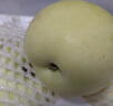 澤華果品山東煙臺棲霞奶油蘋(píng)果牛奶蘋(píng)果水果送禮團購源頭直發(fā)包郵 凈重4.5-5斤單果80mm+ 源頭直發(fā) 曬單實(shí)拍圖