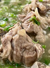 億兆鮮錫林郭勒散養(yǎng)蘇尼特羔羊整羊生鮮羊肉內(nèi)蒙整只羊全羊年貨禮盒整只 全羊-20斤整只發(fā)貨 曬單實拍圖