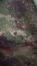 戈洛歌 作業(yè)包 迷彩單肩斜挎包 雙層指揮作業(yè)包 30*12*35 叢林星空 曬單實(shí)拍圖