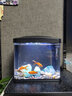 SARYOR 小型魚(yú)缸高清玻璃生態(tài)內置過(guò)濾器水族箱金魚(yú)龜缸蝦缸 TL-328黑色標配（不包含造景） 曬單實(shí)拍圖