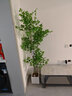 臨雅南天竹仿真綠植室內大型盆栽高端輕奢假花樹(shù)客廳仿生植物落地擺件 1.8米丨四桿南天竹+白四方盆 曬單實(shí)拍圖