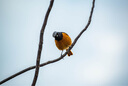 尼康/Nikon 70-300/4.5-5.6E VR防抖全畫(huà)幅遠(yuǎn)攝長(zhǎng)焦變焦鏡頭 二手單反鏡頭95新 AF-S 80-400/F4.5-5.6G VR  95新 曬單實(shí)拍圖