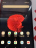 酷比魔方掌玩mini 2024版 全网通通话8.4英寸娱乐游戏办公平板电脑pad安卓mini pro (128GB)标配Googleplay（NFE版） 实拍图