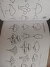 小蟻君植物景觀(guān)手繪教程 曬單實(shí)拍圖