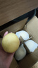 遠(yuǎn)達(dá)（YUANDA）河北皇冠梨趙縣特產(chǎn)新鮮水果冰糖雪梨當(dāng)季水果梨子整箱白梨脆甜 皇冠梨凈重1.4斤 曬單實(shí)拍圖