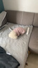 無印良品（MUJI）雙層紗織 寵物襯衫 寵物用品 寵物家居服小型犬適用 藏青色格紋 L 曬單實拍圖