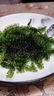 七街八巷海葡萄新鮮即食鹽漬海洋蔬菜植物魚子醬海藻帶菜水葡萄海草y 【普通裝】海葡萄*1包（送蘸料） 曬單實(shí)拍圖