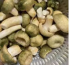 云南野生青頭菌 骨朵新鮮野生菌綠頭菇 花臉菇特產(chǎn)鮮菌菇順豐空運(yùn) 250g【精選】新鮮青頭菌 曬單實(shí)拍圖
