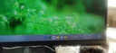 三星（SAMSUNG）玄龍騎士G7 43英寸 G70NC MiniLED 4K 144Hz HDR600 內置音箱 臺式外接 超寬分屏 電競 電腦顯示器 LS43CG700NCXXF 官方直營(yíng)旗艦店 曬單實(shí)拍圖