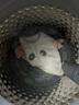 戴維貝拉（DAVE＆BELLA）女童長袖t恤純棉兒童上衣春季新款幼兒童裝男寶寶套頭衫小童衣服 粉色【現(xiàn)貨】 100 cm（建議身高90-100cm） 曬單實拍圖