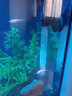 儷魚（LIYU）小型魚缸加熱棒熱帶魚自動恒溫石英加溫棒水族電熱棒 外置調(diào)溫 石英管70W 15cm 低水位迷你版 曬單實(shí)拍圖