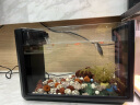 百因美（BIOZYM）鱼缸客厅桌面小鱼缸造景小型水草生态鱼缸水族箱长期免换水鱼缸 烟墨黑鱼缸【开缸礼包】 实拍图