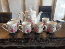 艾和歐式景德鎮帶托盤(pán)家用茶壺茶杯陶瓷整套茶具茶盤(pán)套裝結婚禮物實(shí)用 南瓜型英式玫瑰款 8件 曬單實(shí)拍圖