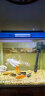 森森（SUNSUN）鱼缸潜水灯变色LED灯七彩照明水族箱造景灯龙鱼防水灯管 双排高亮灯珠白色(5W 28cm长)带开关 实拍图