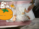 翹腳鴨 嬰兒衣服夏季薄款新生兒連體衣短袖長(cháng)褲滿(mǎn)月寶寶內衣純棉剛出生 牛油果（短袖長(cháng)褲）【夏季款】 80CM(建議9-12個(gè)月) 曬單實(shí)拍圖